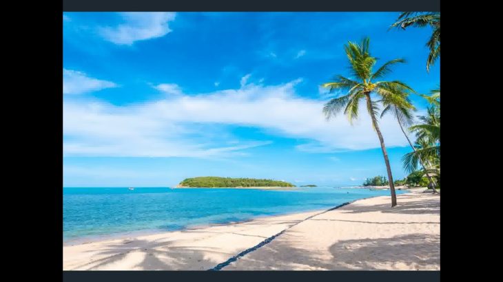 美しいビーチでの瞑想と癒しの音のための森の60分間の音