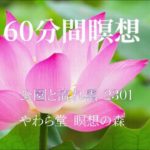 癒しの60分間瞑想【2301 公園と流れ雲】