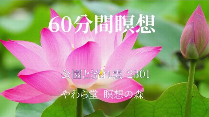 癒しの60分間瞑想【2301 公園と流れ雲】
