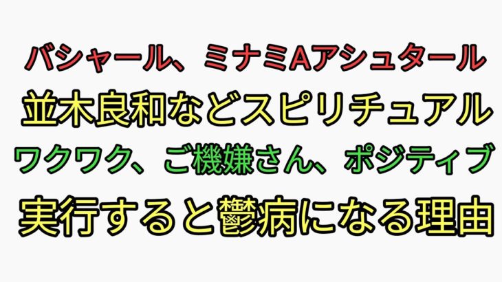 バシャール、ミナミAアシュタール、並木良和らスピリチュアルのワクワク、ご機嫌さん、ポジティブを実行すると不幸になる理由。金儲け
