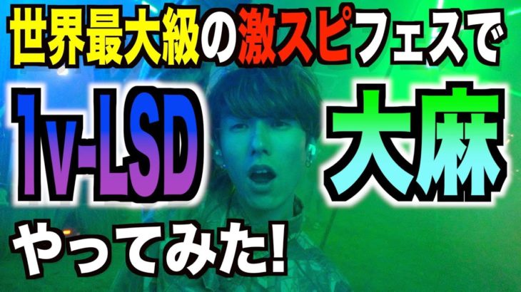 世界最大のフェスで合法LSDやってみた。スピリチュアルとサイケデリックの祭典”ワンダーフルーツ”を大満喫！音楽はいいよねぇ。愛だよ。自然の中だと尚良いよね、ビッグラブだよ。