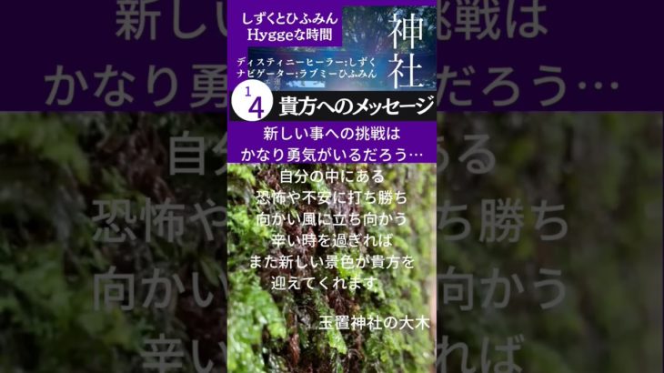 【貴方へのメッセージ】#Short #神社　#スピリチュアル　#エネルギー #感謝　#玉置神社