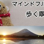 マインドフルネス　歩く瞑想　@arugamamani