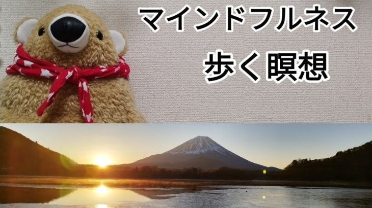 マインドフルネス　歩く瞑想　@arugamamani