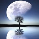 睡眠bgm  優しい オルゴールの癒しの音色 ・ヒーリングミュージック 深い睡眠へ誘う 癒しの音楽を聴いて熟睡する　心身の休息と疲労回復、ストレス解消　あなたの神経系の癒し。