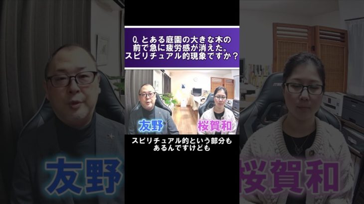 スピリチュアル現象なのか？庭園の大きな木の前で急に疲労感が消えたのはスピリチュアル現象なのですか？ #shorts #霊視経営コンサルタント #スピリチュアル #霊視 #霊能者