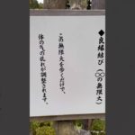 不二阿祖山太神宮 #スピリチュアル #shorts #都市伝説 #パワースポット