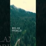 どんなフィーリングもそのまま受け止めて#深呼吸 #瞑想 #癒し動画 #加藤先生 #shorts