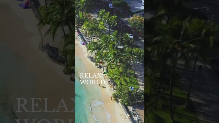 こころが疲れた時に…#深呼吸 #瞑想 #癒し動画 #加藤先生 #shorts