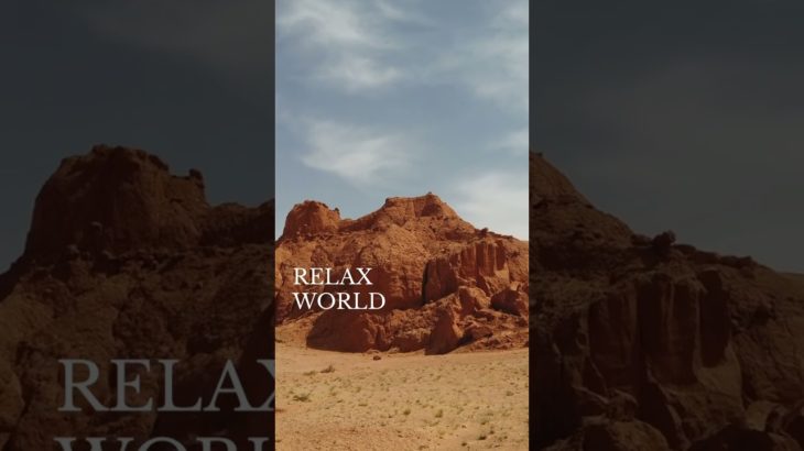 寂しさを感じる時は…#深呼吸 #瞑想 #癒し動画 #加藤先生 #shorts