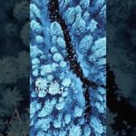 お昼休みにリラックスしてみて！#深呼吸 #瞑想 #癒し動画 #加藤先生 #shorts