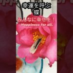 #命の大切さ#幸運を呼ぶ#蝶#スピリチュアル#shorts