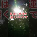 今すぐ聞き流して人生大逆転 #スピリチュアル #パワースポット #波動 #浄化 #shorts #潜在意識 #tiktok #神社仏閣 #引き寄せ #アファメーション