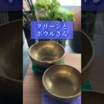 グリーンとボウルさん　#singingbowl#シンギングボウル#グリーン#ボタニカル#癒し#瞑想#マインドフルネス