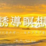 【誘導瞑想】ハワイの癒し&遠隔エネルギー／愛のエネルギーを感じながらセルフラブを拡大させる
