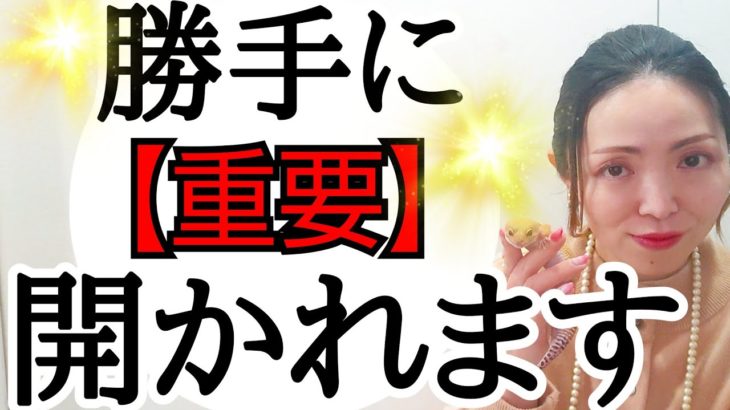 この動画が出たら遠慮なく〇〇してください‼️