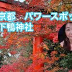 京都　パワースポット　下鴨神社　#石田美奈子#スピリチュアル