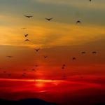 【ヒーリング・リラックス音楽】【睡眠】、癒し、瞑想、ストレス解消。心身の休息と疲労回復に。