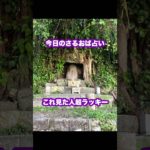 #今日の占い #占い #さるおば # #スピリチュアル #お笑い #お金 #もしなみ