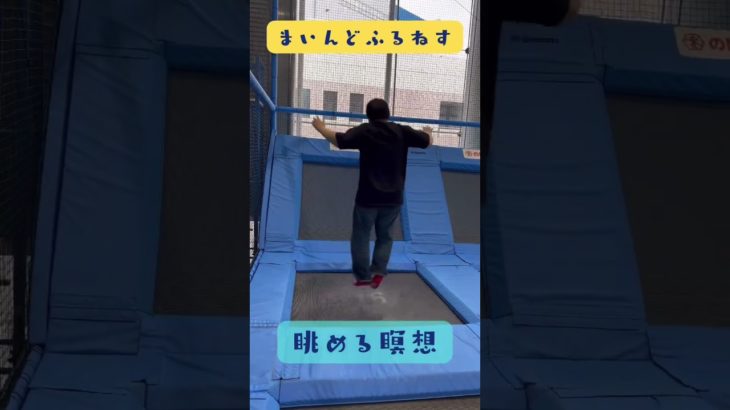 飛び跳ねる111kgのおじさんを眺める瞑想 #マインドフルネス #ゆるぷか#こころメンテ