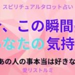 [スピリチュアルタロット占い]🔮2️⃣0️⃣2️⃣3️⃣今、この瞬間のあなたの気持ちシリーズ💗（あなたは本当にあの人の事が好きですか❔🐼）#占い#気持ち#恋愛