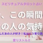 [スピリチュアルタロット占い]🔮2️⃣0️⃣2️⃣3️⃣今、この瞬間のあの人の気持ちシリーズ🎠（やっぱりあの人が好き‼️💗だとしたら私はあの人にどう寄り添ったら良いの❔🐰）