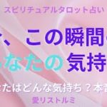 [スピリチュアルタロット占い]🔮2️⃣0️⃣2️⃣3️⃣今、この瞬間のあなたの気持ちシリーズ🎠（あなたは今、どんな気持ち❔その気持ちの理由は❔）