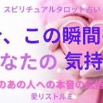 [スピリチュアルタロット占い]🔮2️⃣0️⃣2️⃣3️⃣今、この瞬間のあの人の気持ちシリーズ🔎10択🌠（あなたのあの人への本音の気持ちは❔）とても大事な事です❗️あの人に対する本当の気持ちに気付く事🎀