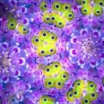 アウェイクニングサロン🌍宇宙ヒーリング瞑想🌍432Hzクォーツフォンの響きと共に至福の世界へ#432hz #クォーツフォン #ヒーリング #宇宙 #覚醒 #瞑想 #癒し