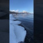 河口と湖｜ASMR｜瞑想｜shorts ｜自然音｜川の音｜癒し｜環境音｜リラックス｜study｜relaxation｜healing｜meditation｜study｜yoga｜ヨガ｜水の音