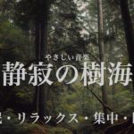 勉強に集中できる・睡眠・ヨガ・瞑想・疲労回復に効く音楽BGM　寝る前に聴くと熟睡できる　朝の目覚めスッキリ　集中力　疲れが取れる　室内音楽BGM　宇宙・夜空のイメージ　睡眠用bgm　リラックス　癒やし
