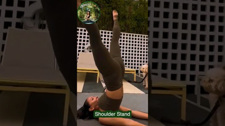 Flexible Yoga Stretching Flow #shorts