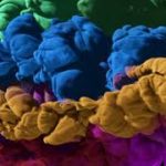 マインドフルネス瞑想、ヨガ、リラックス音楽、睡眠用音楽／Meditation Music, Yoga Music, Relaxing Music, Sleep Music..