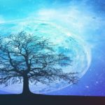 睡眠bgm  優しい オルゴールの癒しの音色 ・ヒーリングミュージック 深い睡眠へ誘う 眠れる 曲 を聴いて熟睡する　心身の休息と疲労回復、ストレス解消　眠れる 曲　リラックス 音楽 ヨガ 瞑想にも