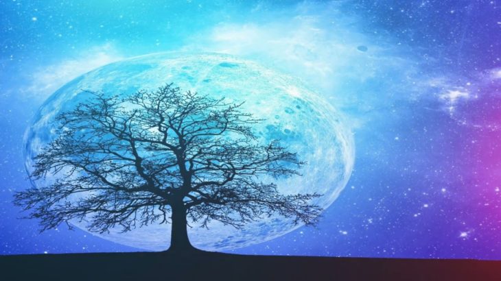 睡眠bgm  優しい オルゴールの癒しの音色 ・ヒーリングミュージック 深い睡眠へ誘う 眠れる 曲 を聴いて熟睡する　心身の休息と疲労回復、ストレス解消　眠れる 曲　リラックス 音楽 ヨガ 瞑想にも