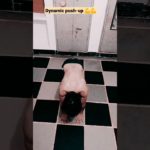 dynamic push-up 💪💪#shorts#yoga#pushups