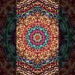 #shorts　マインドフルネス瞑想／一分瞑想／Meditation