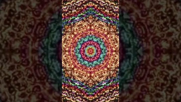 #shorts　マインドフルネス瞑想／一分瞑想／Meditation