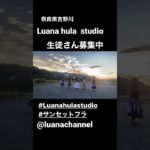 #奈良県 #橿原市 #フラダンス #スピリチュアル #吉野川 #フラダンス動画 #フラダンス教室 #ウクレレ #生徒さん募集中 #癒し #健康 #仲間募集 #男性　#女性 #子供 #ハワイ