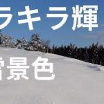 【自然の音 風景】癒しの雪景色、キラキラ光る綺麗な銀世界に感動、せせらぎ音でストレス解消！睡眠用、勉強用、作業用、瞑想用にも