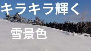 【自然の音 風景】癒しの雪景色、キラキラ光る綺麗な銀世界に感動、せせらぎ音でストレス解消！睡眠用、勉強用、作業用、瞑想用にも