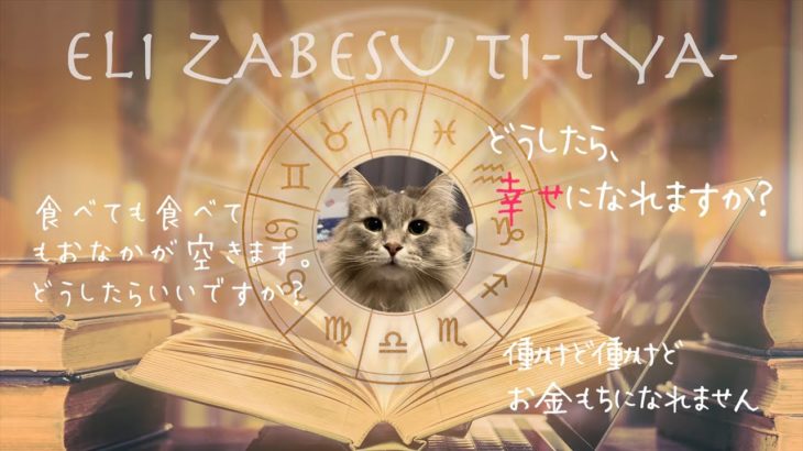 スピリチュアル・エリ★ザベス先生によるお悩み相談室#1 しゃべる猫 おしゃべりペット