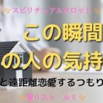 [スピリチュアルタロット占い]🔮2️⃣0️⃣2️⃣3️⃣今、この瞬間のあの人の気持ちシリーズ🎠（あの人はあなたと遠距離恋愛するつもりあるの❔）✳️遠距離恋愛が始まりそうな方🗼