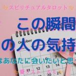[スピリチュアルタロット占い]🔮2️⃣0️⃣2️⃣3️⃣今、この瞬間のあの人の気持ちシリーズ🎠（あの人はあなたに会いたいと思ってますか❔🌹）