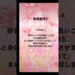 今週のスピリチュアルメッセージ🌸 3月20日（月）～26日（日）   #dstチャネリングメッセージ #レムリア #スピリチュアル