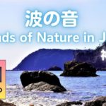 【深呼吸音楽】眠くなる癒しの波音 寝落ちするヒーリングミュージック｜リラックスして安眠 ｜睡眠導入 瞑想 睡眠BGM心身の安らぎ 睡眠導入音【神前湾】4K 波の音 海の音