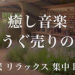 どうぐ売りの家 睡眠用BGM 瞑想 ヨガ 集中力 疲労回復に効く音楽BGM  寝る前に聴くと超熟睡できる 朝の目覚めスッキリ 勉強に集中 疲れが取れる 室内音楽 睡眠 リラックス 成長ホルモン 快眠
