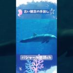 古い観念を手放す方法 #bashar #宇宙 #聴くアファメーション #高波動 #スピリチュアル