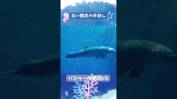 古い観念を手放す方法 #bashar #宇宙 #聴くアファメーション #高波動 #スピリチュアル