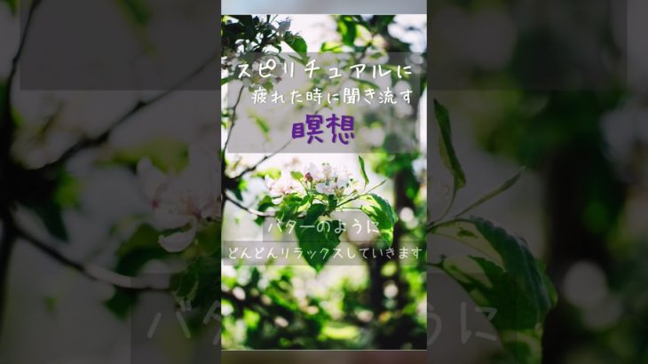 スピリチュアル・精神世界に疲れた時に聴き流す瞑想 #魔境 #shorts #スピ